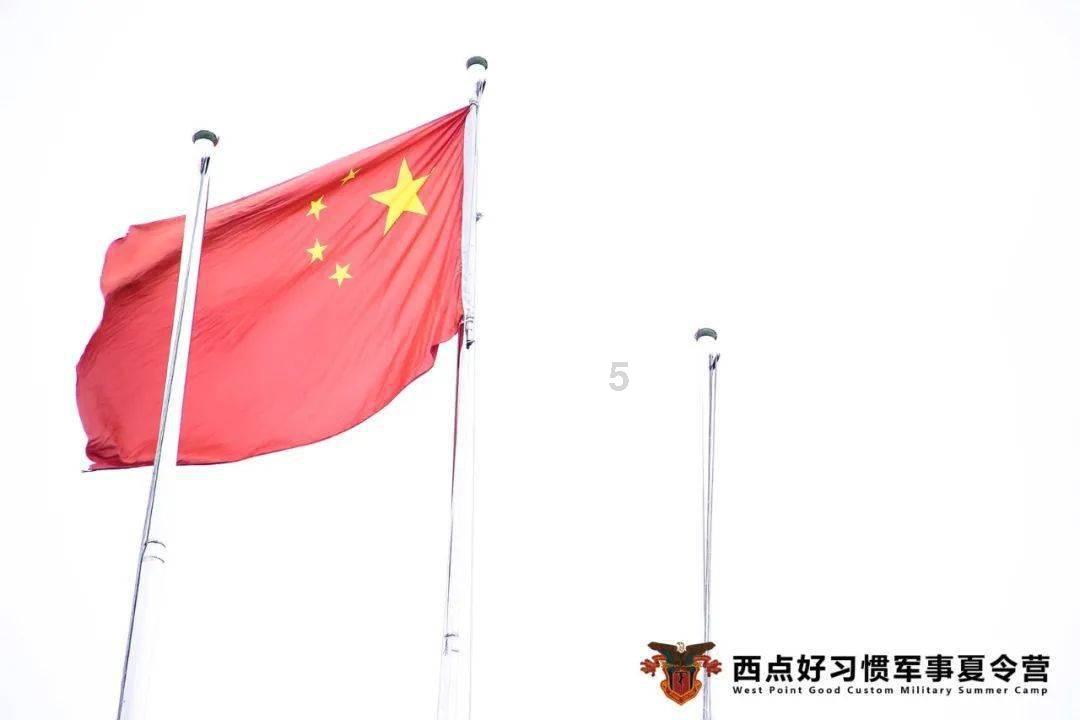 狐狸的旅程